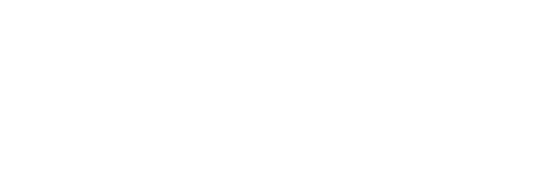 Silviomotion